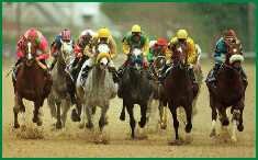 american horse racing