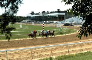 laurel horse racing