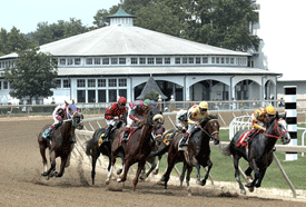 gulfstream park horse racing